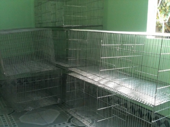 Bắt cá sòng bằng lồng thép dễ thực hiện - Thiết bị điện