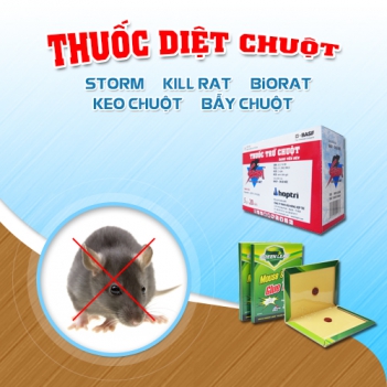 Chuột cắn phá sách giáo khoa của em và cách em diệt chuột - Thiết bị điện