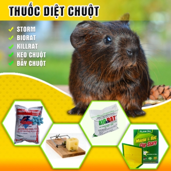 Bao bì của sản phẩm thuốc diệt chuột Biorat - Thiết bị điện