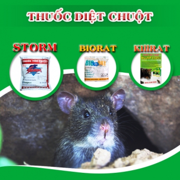Diệt chuột bằng cách hun khói có hiệu quả? - Thiết bị điện