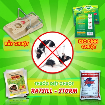 Lời khuyên tốt bụng của hàng xóm giúp tiêu diệt loài chuột hiệu quả - Thiết bị điện